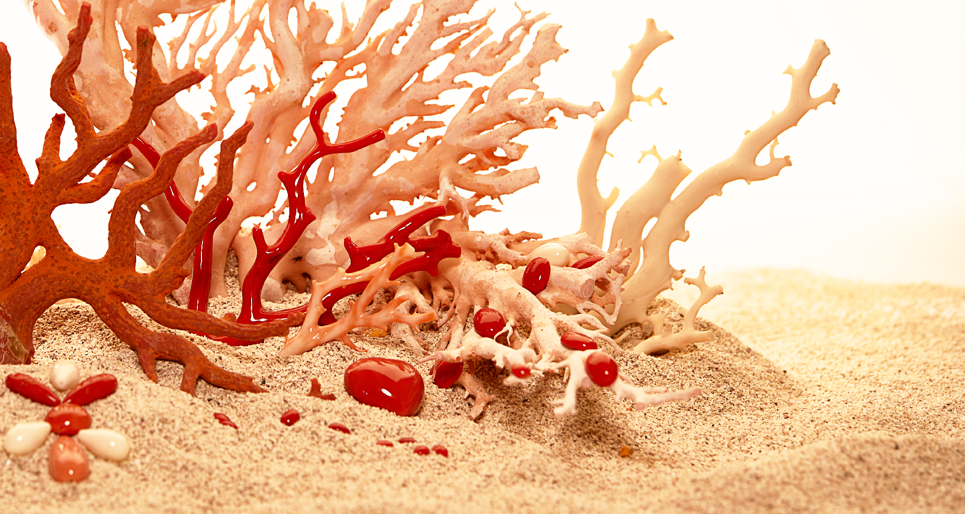 Coral group. Коралловая ветвь Геншин. Маяно коралл. Кораллы карбона. Кораллы из папье маше.